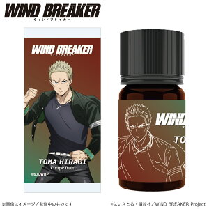 yVi/z WIND BREAKER_A}IC_A on_iO[vt[cj ObY CZX colleize RCY Aj LN^[ ObY