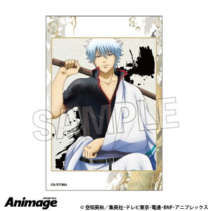 yVi/z ⍰_ςݐς݃ubN@4 ObY CZX colleize RCY Aj LN^[ ObY