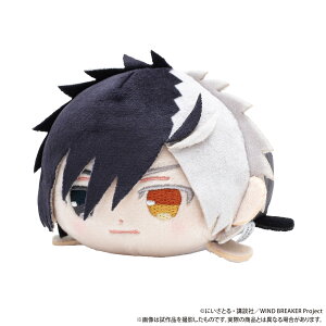 yVi/z WIND BREAKER_߂ˁiʂ݁j^y ObY CZX colleize RCY Aj LN^[ ObY