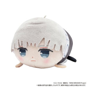 yVi/z WIND BREAKER_߂ˁiʂ݁j^@ ObY CZX colleize RCY Aj LN^[ ObY