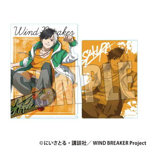 yVi/z WIND BREAKER_NAt@C  y XP[^[ver. ObY CZX colleize RCY Aj LN^[ ObY