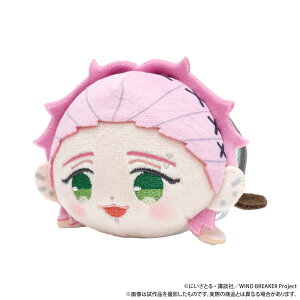 yVi/z WIND BREAKER_߂ˁiʂ݁j^ːOP ObY CZX colleize RCY Aj LN^[ ObY