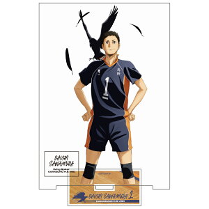 yVi/z nCL[!!_()_Vn ANX^hVer.1.0 ObY CZX colleize RCY Aj LN^[ ObY