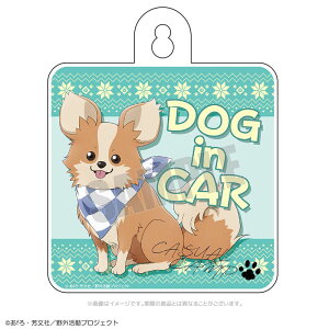 yVi/zL SEASON3_JWALv J[TC  ObY colleize RCY Aj LN^[ ObY