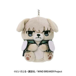 yVi/zWIND BREAKER_ǂԂtH[[}XRbg 4 @ ObY colleize RCY Aj LN^[ ObY