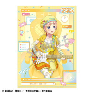 yVi/zܓ̉ԉŁ_A4VONAt@C ԁ^zM҂Ȃ肫 ObY colleize RCY Aj LN^[ ObY