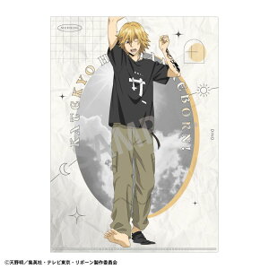 yVi/zƒ닳tqbg}REBORN!_A4VONAt@C fB[m^xx ObY colleize RCY Aj LN^[ ObY