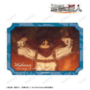 yVi/zi̋l_~JT ʎʃ_CJbgXebJ[ vol.3 ObY colleize RCY Aj LN^[ ObY