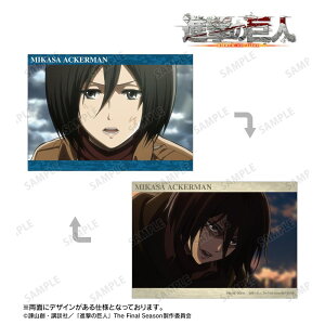 yVi/zi̋l_~JT ʎA5CXgJ[h ObY colleize RCY Aj LN^[ ObY