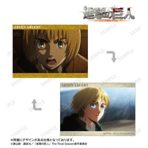 yVi/zi̋l_A~ ʎA5CXgJ[h ObY colleize RCY Aj LN^[ ObY