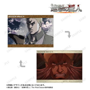 yVi/zi̋l_Ci[ ʎA5CXgJ[h ObY colleize RCY Aj LN^[ ObY