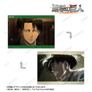 yVi/zi̋l_@C ʎA5CXgJ[h ObY colleize RCY Aj LN^[ ObY