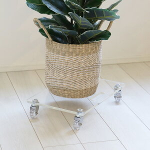 蔼zN[| ANL[   CeA L[ ~jL[ z[L[ AN [ y ^ RpNg ω׏d50kg rO[ Q[ _CjO