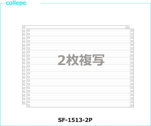 A`[p 1/3P15X11C` 2 1000Zbg