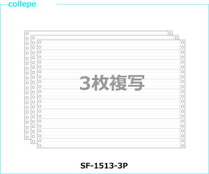 A`[p 1/3P15X11C` 3 1000Zbg