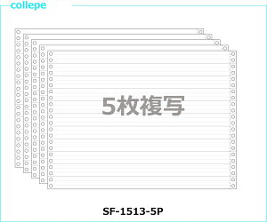 A`[p 1/3P15X11C` 5 500Zbg