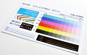 CNWFbgpp h500חʃ}bgzCg