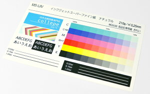 CNWFbgpp h500חʃ}bgAC{[