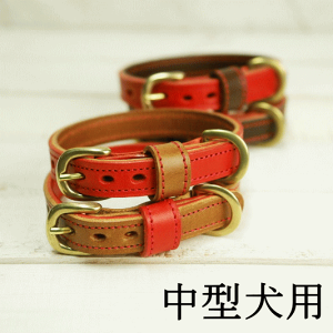ymarcozubhvx[X  20yS4zbh uE `R ^  dog collar  Č R[M[ t`uhbO {XgeA