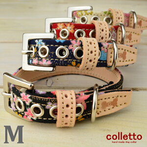 ya  ցzyS4Fz   g   t ^ Č  t`uhbO R[M[ {XgeA {[_[R[ r[O dog a TN 