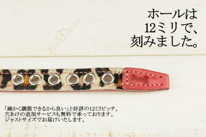 楽天市場】【ヒョウ柄 首輪 Mサイズ】【全8色】レッド ピンク イエロー