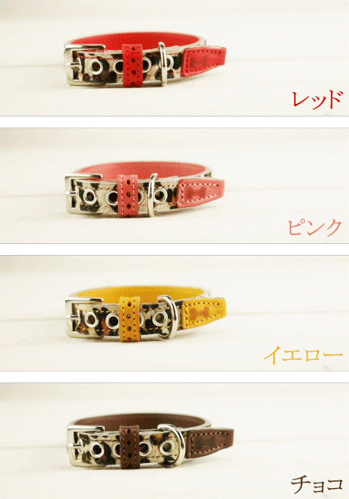 楽天市場】【ヒョウ柄 首輪 Mサイズ】【全8色】レッド ピンク イエロー