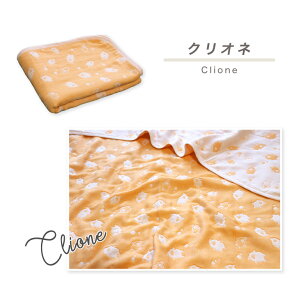 QPbg y SOKO+3 z 6d K[[Pbg QTCY { O͖ؖ 85×115cm xr[Pbg uPbg n[tPbg LbYTCY xr[ LbY WjA l G| Nf I[