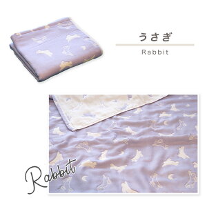 { 100% zj A Mtg v[g oX^I ۈ牀ySOKO+3z 6dK[[ O͖ؖ K[[^I 唻^I  O͖ؖ { 70×120 RbgK[ z  xr[ 