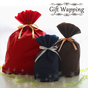 ☆ギフト用ラッピング☆ビニール製&不織布製 ギフトバック(袋サイズは選べません)