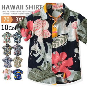 AnVc LbY Vc q j̎q ̎q Y fB[X JWAVc Vc ԕVc xr[ gbvX  T}[Vc r[`Vc WjA ĕ 