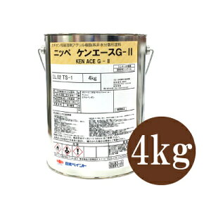 jby PG[XG-2  CfBAbh [4kg] {yCg