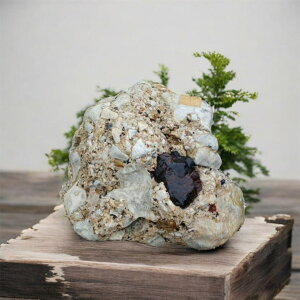 yϏܗpz i R p[Xg[@c25cm 25cm d8.5kg