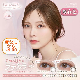 フェリアモ ワンデー カラコン 白石麻衣 【1箱10枚入り】 度あり 度なし feliamo 14.2mm 14.5mm 1day 1日用 10枚 1日使い捨て ワンデーカラコン カラーコンタクト カラーコンタクトレンズ 送料無料