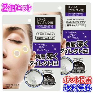 �y�|�X�g�������������zTHE CURE �}�C�N�� �u���C�g �p�b�`�y���e�� 6���z�}�C�N���j�[�h�� �q�A�������_ �A���u�`�� MICRO BRIGHT PATCH [�Z�b�g�g][�|�C���g2�{][B]