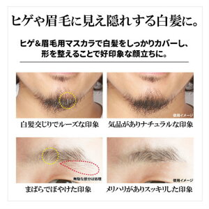 楽天市場 ポスト投函送料無料 Bro For Men Quick Mascara クイックマスカラ 眉 髭白髪隠し 内容量 6g ヒゲ ひげ 髭 あごひげ 眉毛 まゆ 白髪 マスカラタイプ シェモア Chezmoi ポイント10倍 ちあふるマーケット