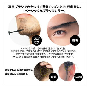 ポスト投函送料無料 Bro For Men Quick Mascara クイックマスカラ 眉 髭白髪隠し 内容量 6g ヒゲ ひげ 髭 あごひげ 眉毛 まゆ 白髪 マスカラタイプ シェモア Chezmoi ポイント10倍 ちあふるマーケット