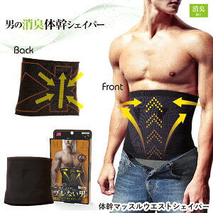 ̊}bXEGXgVFCp[yTCYFM / LzY j EGXgVFCp[ L   EGXg   ̊ p ؓ [j[Y][|Cg10{]