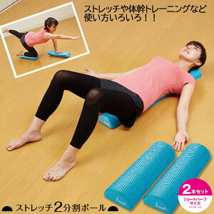ストレッチポール 腰 フィットネス ダイエットの人気商品 通販 価格比較 価格 Com
