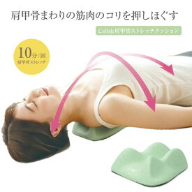 Cellsh（セルシュ）肩甲骨ストレッチクッション　【送料無料※沖縄・離島・北海道除く】ストレッチ 肩甲骨 筋肉 ほぐす [ニーズ][ポイント10倍]