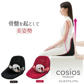 cosios PREMIUM（コシオスプレミアム）【カラー：ブラック / レッド】ボードクッション クッション 椅子 骨盤 姿勢 テレワーク オフィス [ニーズ][ポイント10倍]