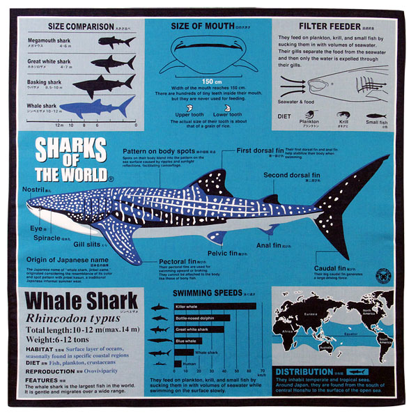 ジンベエザメ ターコイズブルー 本物◆ のサイエンス 科学的 データをデザインした図鑑のようなバンダナ 最安値 サイエンス 動物 魚類 鮫 バンダナ サメ 生物