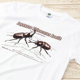昆虫 Tシャツ カブトムシ（日本） ホワイト 半袖 S M Lサイズ ミュージアムデザイン