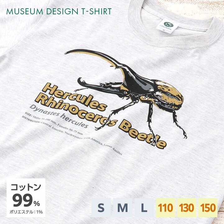 楽天市場】【ヘラクレスオオカブト Tシャツ】カロラータ ミュージアム 