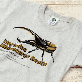 子供 キッズ 昆虫 Tシャツ ヘラクレスオオカブト ライトグレー 子供サイズ 半袖 ミュージアムデザイン