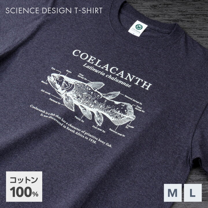 楽天市場】シーラカンス Tシャツ ネイビー | カロラータ サイエンス  