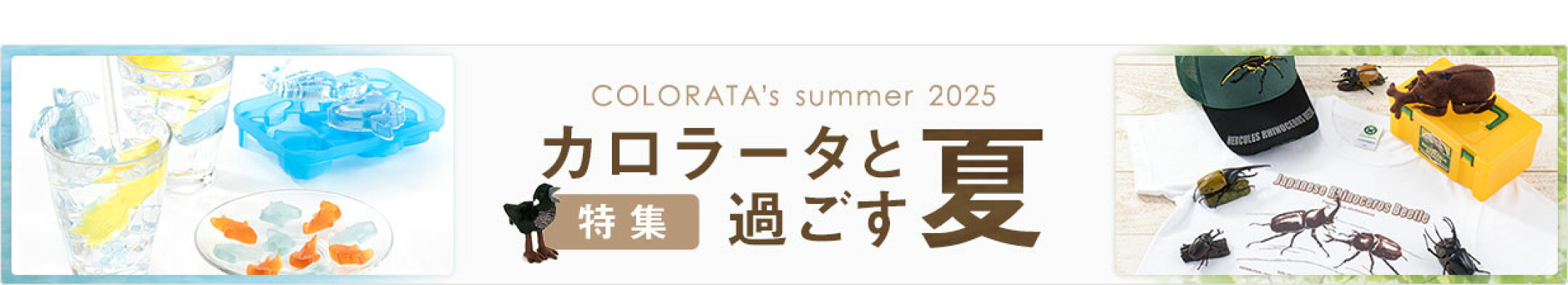カロラータと過ごす夏2025：夏のおすすめ商品のご紹介