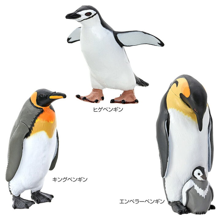 楽天市場 ペンギン フィギュア リアル 立体図鑑 ペンギンボックス 12種13個 生物の事が良くわかる解説書付 動物 おもちゃ どうぶつ グッズ フィギア 図鑑 ずかん 動物図鑑 どうぶつずかん 玩具 小学生 子供 女の子 男の子 誕生日プレゼント アニマル ギフト プレゼント