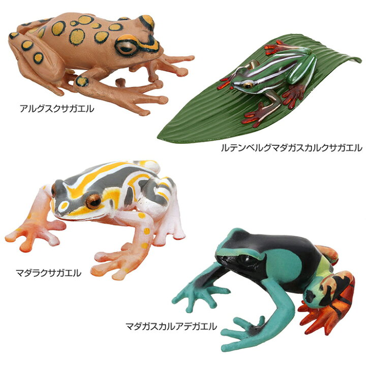 楽天市場 動物 リアル カエル フィギュア 立体図鑑 フロッグボックス 16種16個 生物の事が良くわかる解説書付 かえる 蛙 アマガエル グッズ フィギア 誕生日プレゼント 子供 こども 小学生 中学生 男の子 おもちゃ 玩具 大人 図鑑 アニマル ずかん ギフト プレゼント