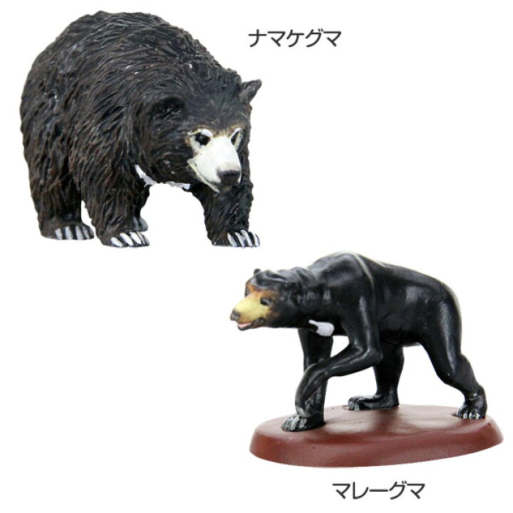 楽天市場 クマ 動物 リアル フィギュア 立体図鑑 ワイルドベアーボックス 8種9個 解説書付 リアル 立体 コレクション 動物フィギュア 生き物 グッズ オブジェ テラリウム ジオコレ 本物っぽい 小物フィギュア 子供 こども 誕生日 プレゼント ごっこ遊び おもちゃ