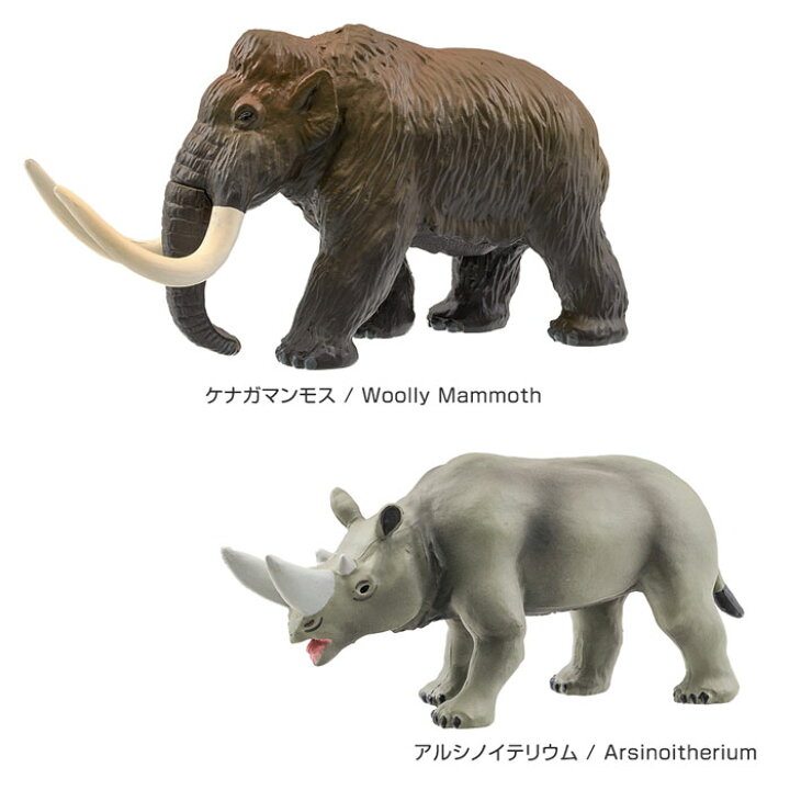 楽天市場】動物 リアル フィギュア 立体図鑑 新生代の絶滅動物ボックス 